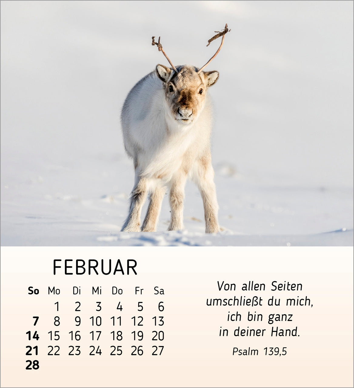 fontis-kalender-meine-kleinen-freunde-2027-aufstellkalender-tiere-kinder image 4