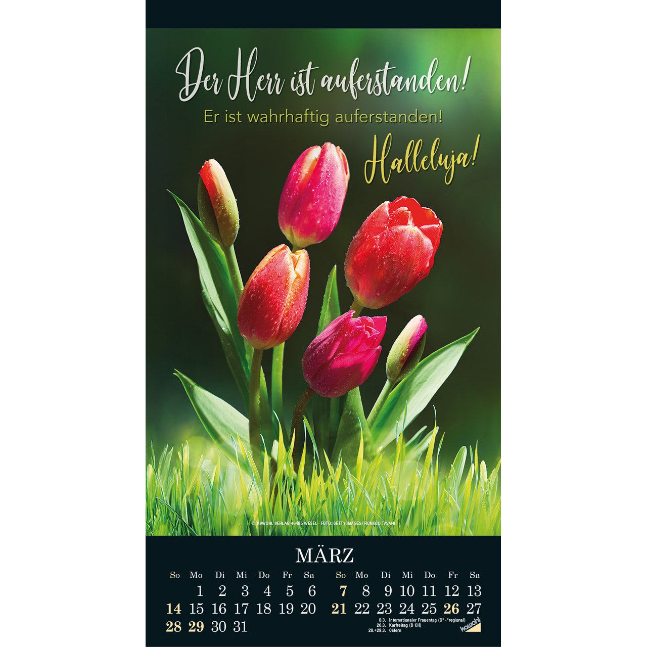fontis-die-wunder-deiner-werke-2027-wandkalender-mit-bibelversen image 5