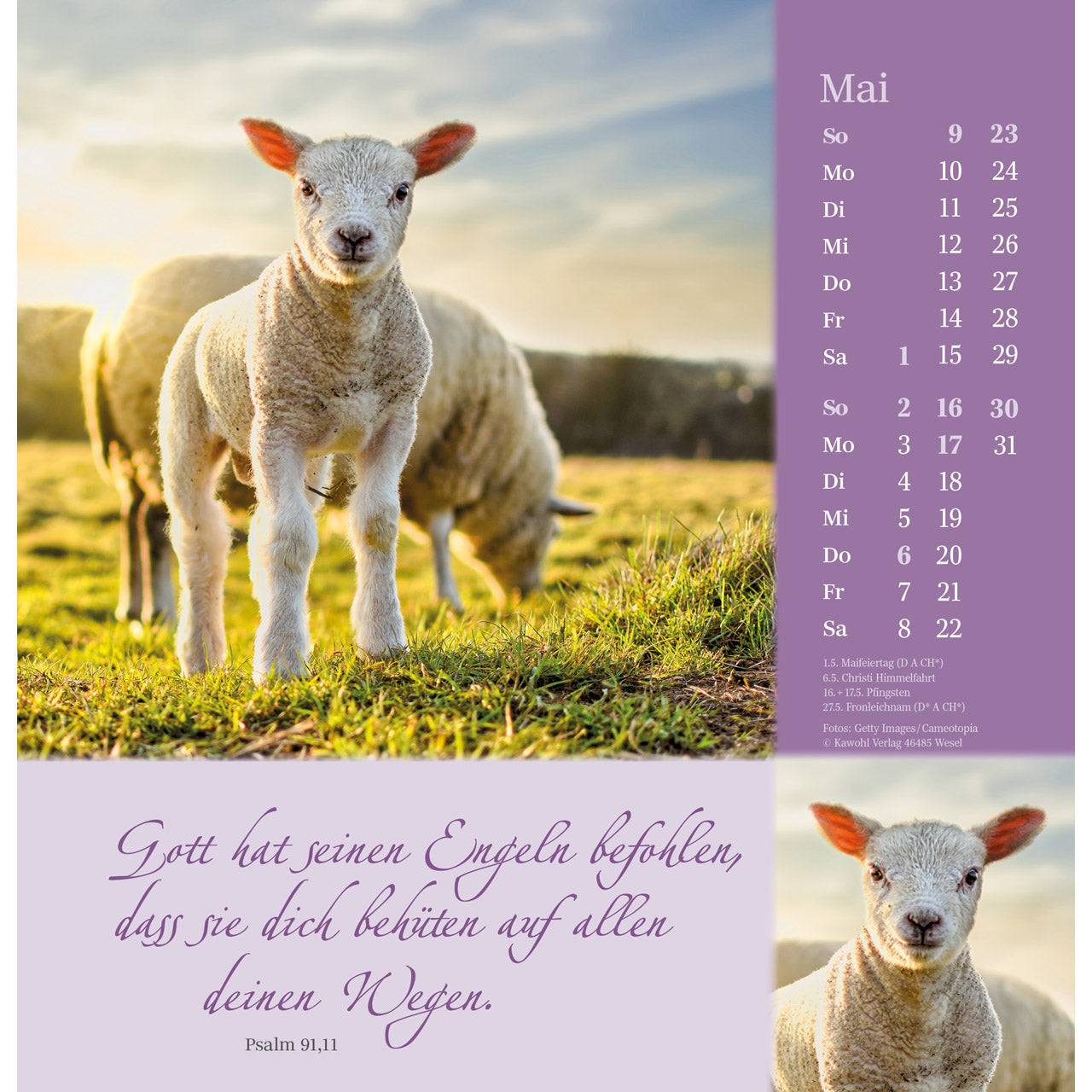 fontis-kalender-sei-beh-tet-auf-allen-wegen-2027-wandkalender image 7