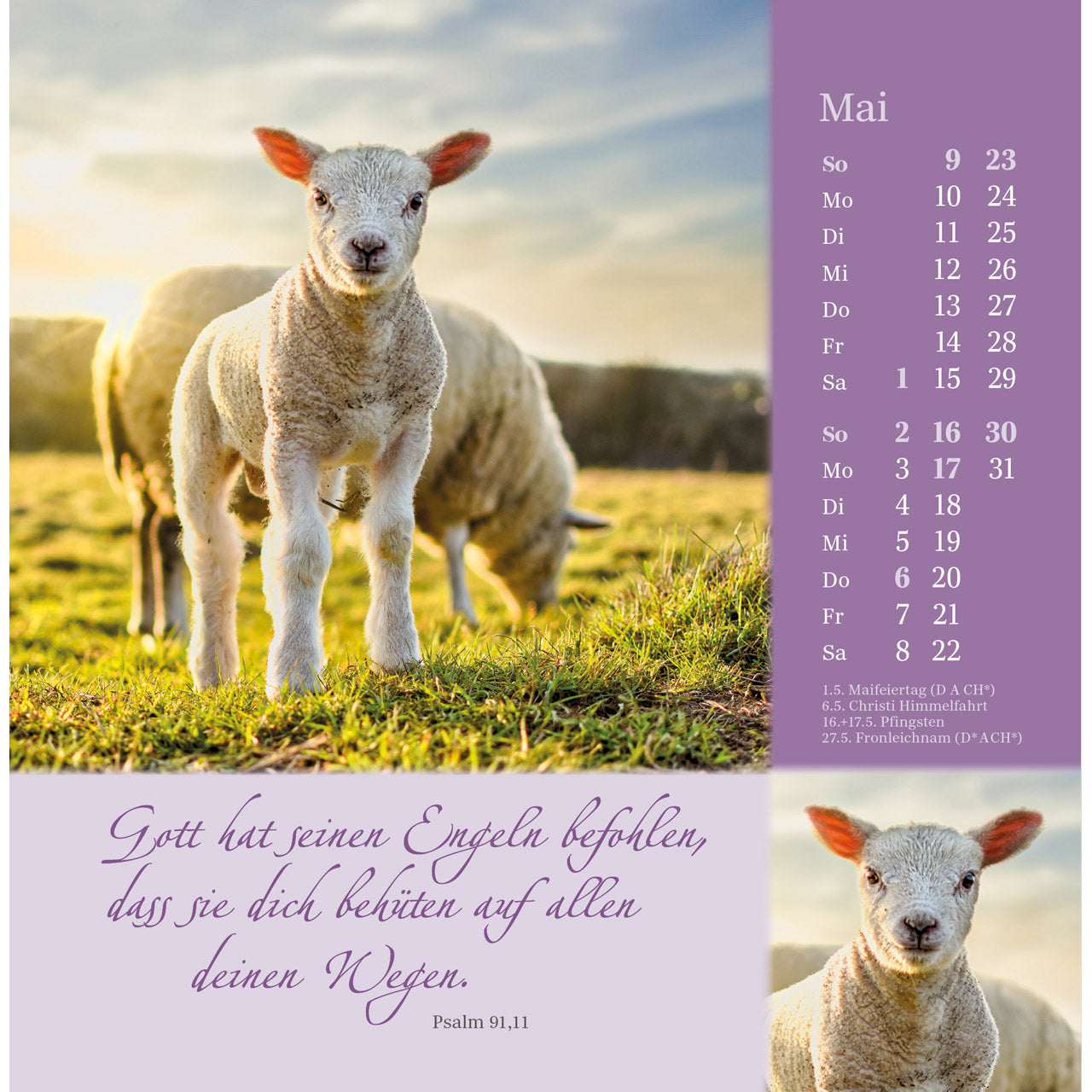 fontis-kalender-sei-beh-tet-und-gesegnet-2027-postkartenkalender image 7