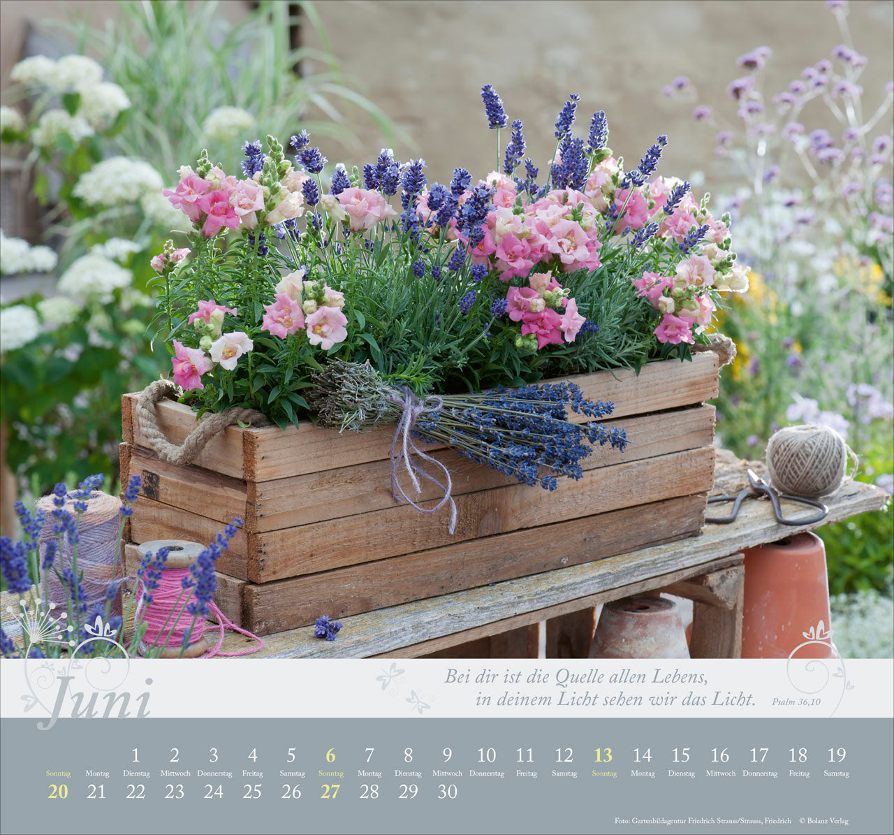 fontis-im-garten-zuhause-2027-wandkalender-mit-bibelversen image 8