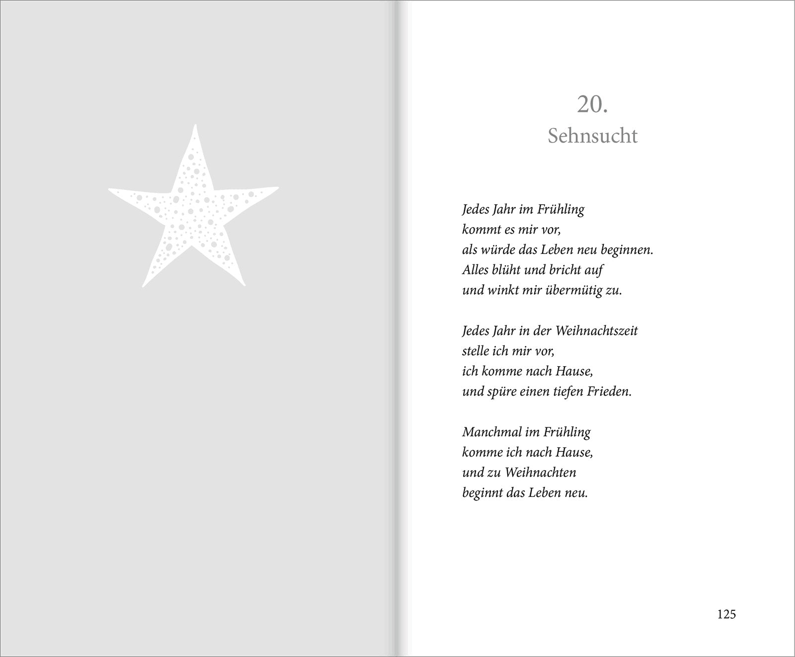 rainer-haak-hell-leuchtet-der-stern-buch-gebunden image 2