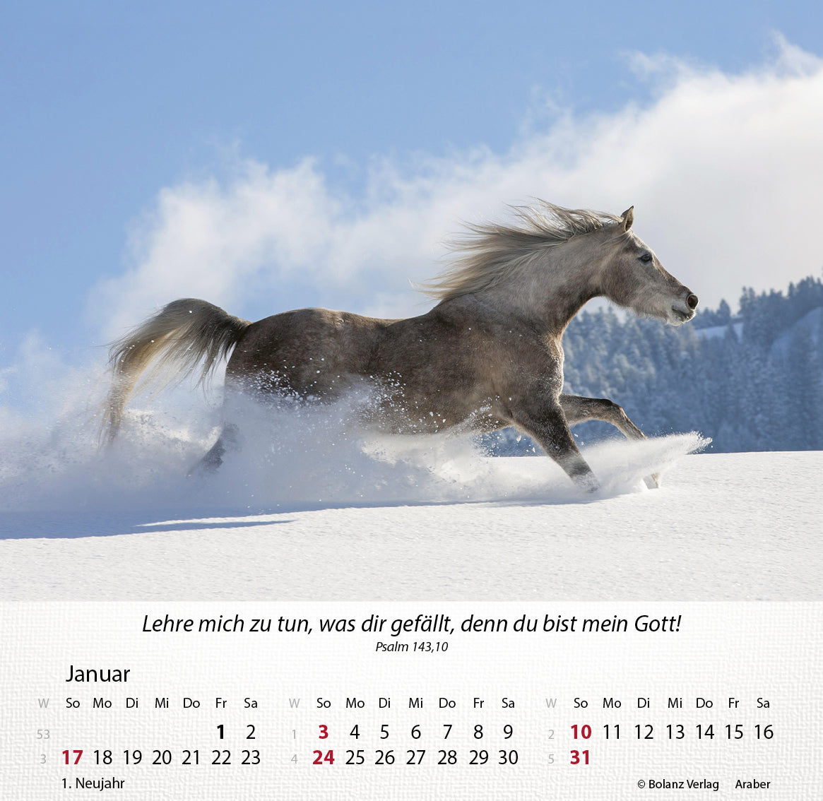 fontis-kalender-pferde-2027-tischkalender-mit-bibelversen image 2