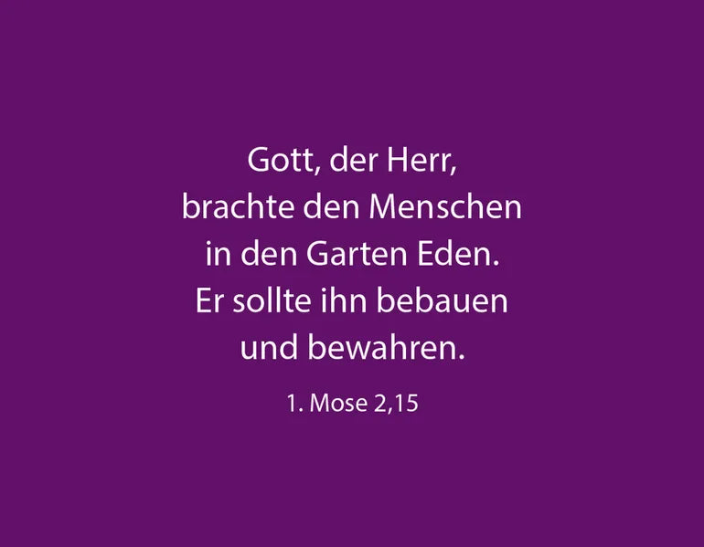 fontis-50-dinge-die-gott-an-dir-liebt-textkartenbox-bibelvers image 5