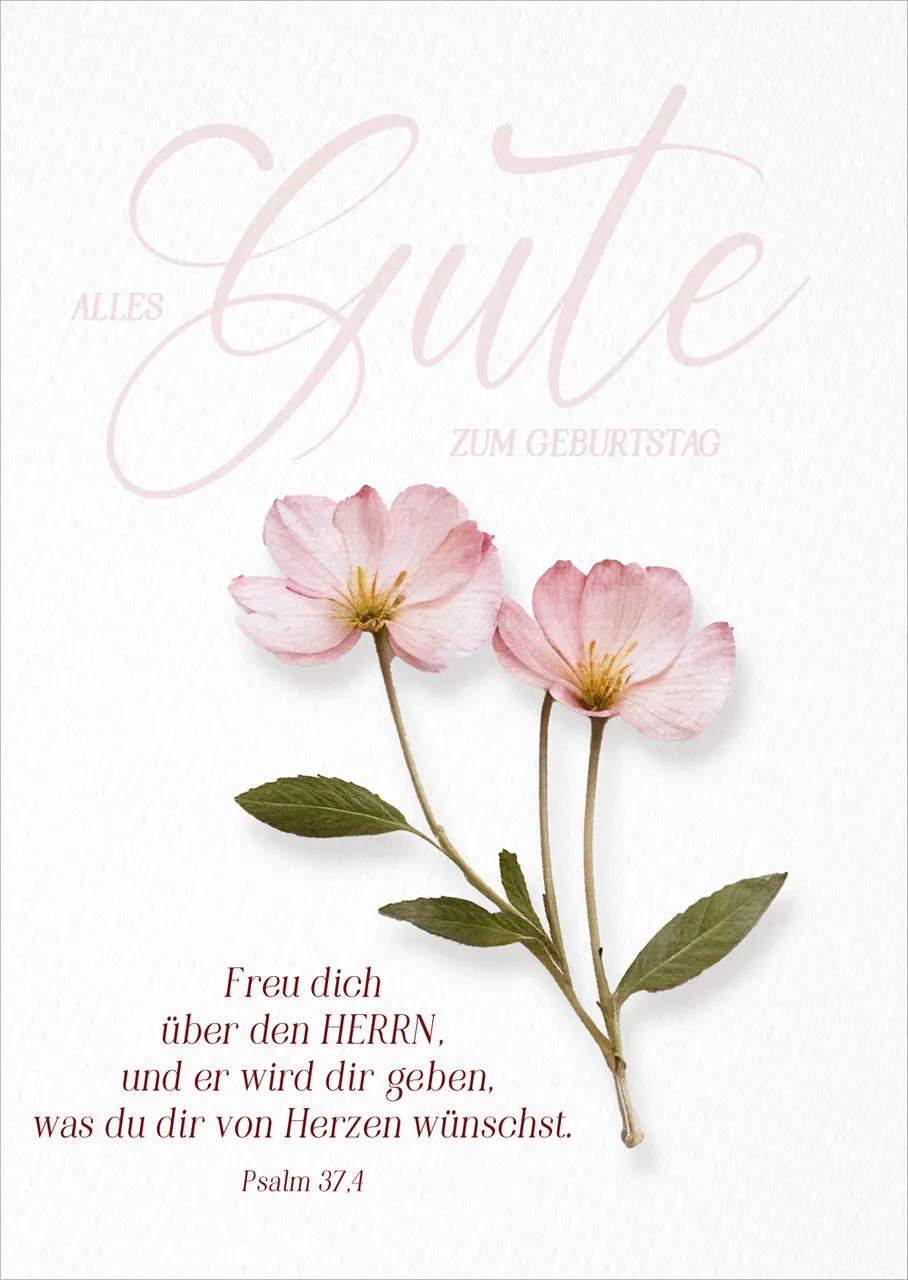 bolanz-postkarten-alles-gute-zum-geburtstag-12er-set image 1