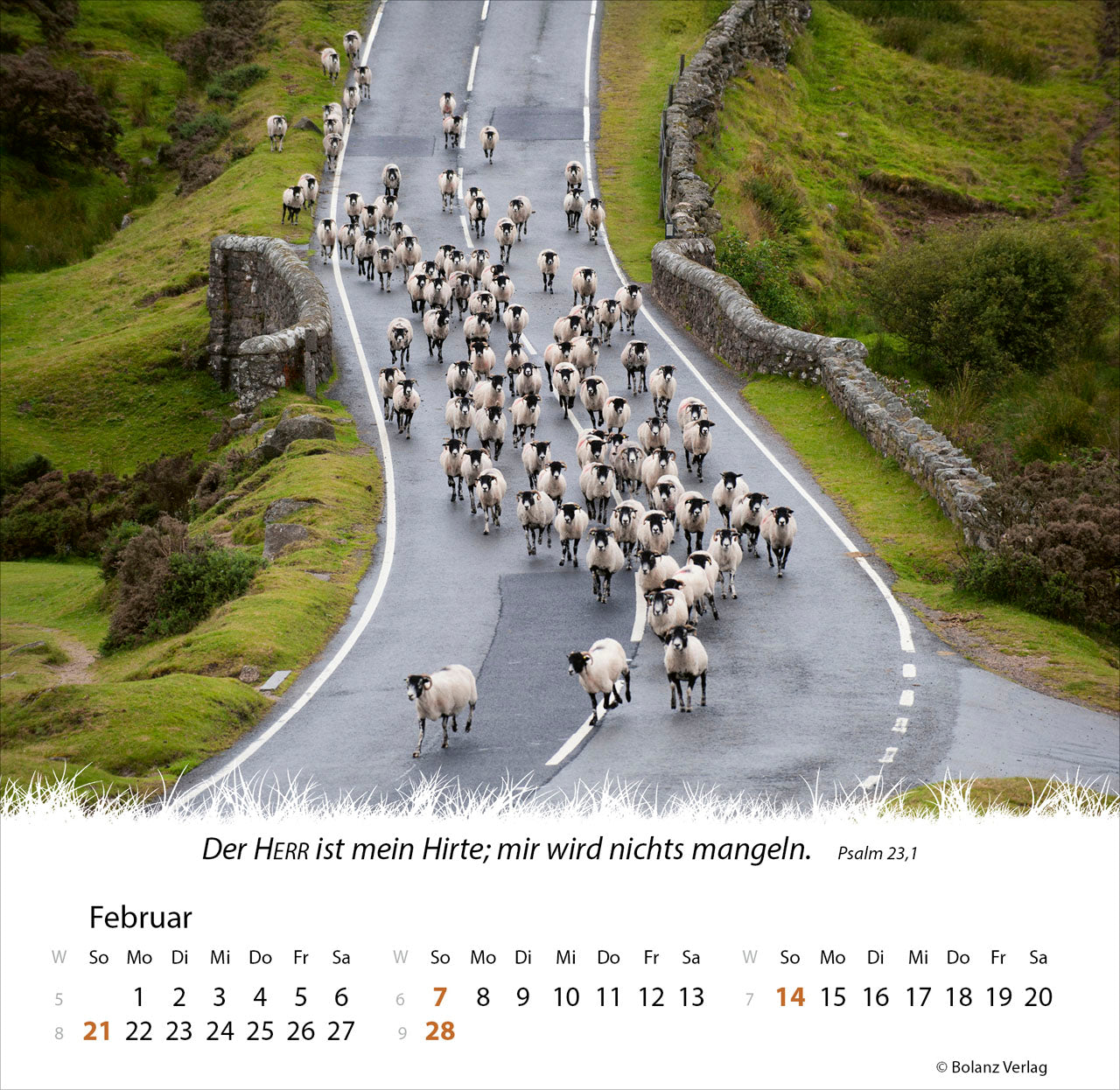 ein-leben-f-r-die-schafe-2027-tischkalender-schafe image 4