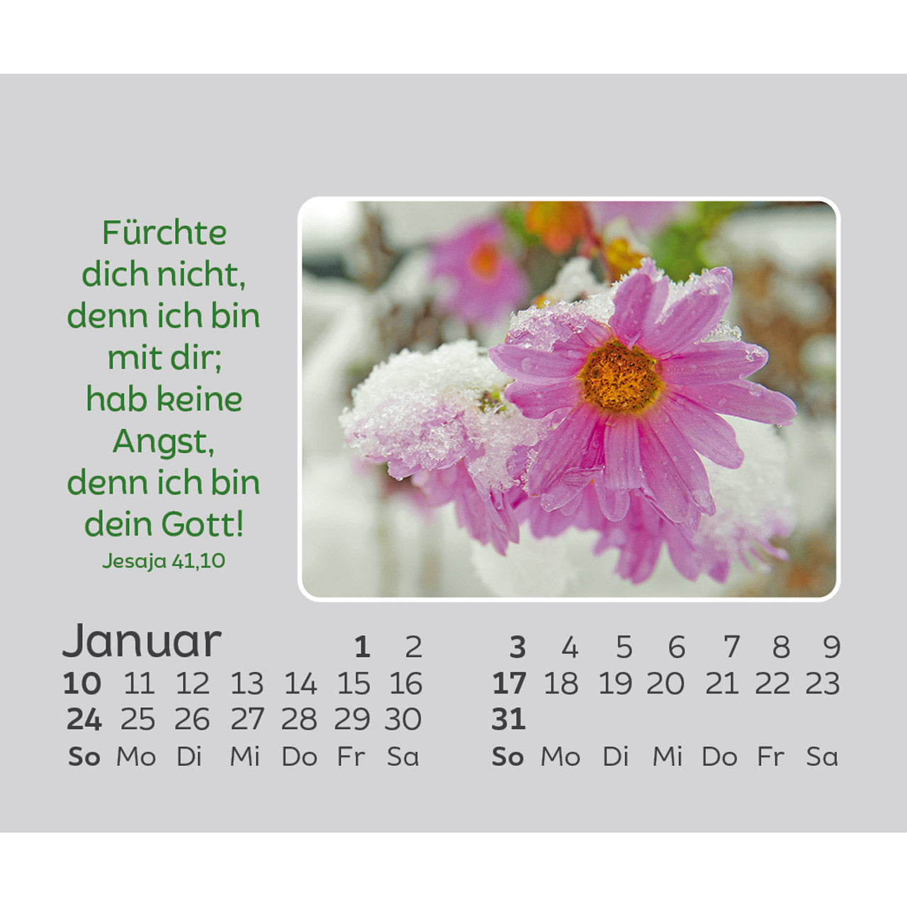 fontis-freude-f-r-jeden-tag-2027-aufstellkalender-mini-blumen image 3
