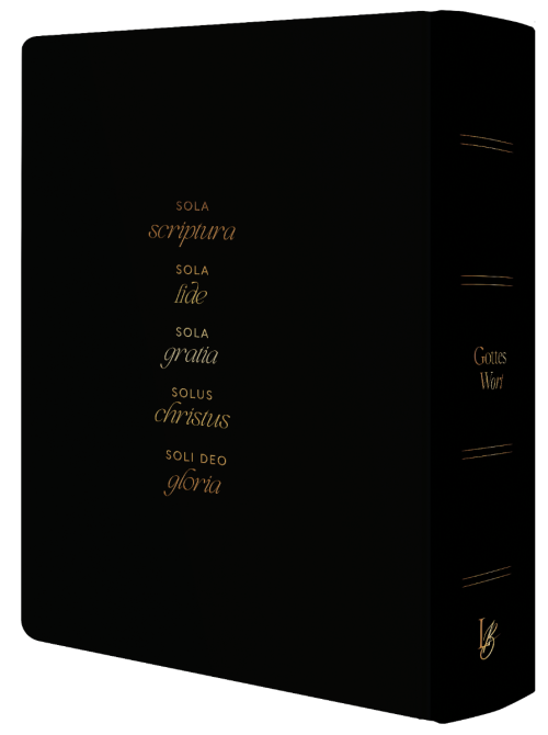fontis-bibeln-schlachter-liebezurbibel-sola-kunstleder-schwarz image 2