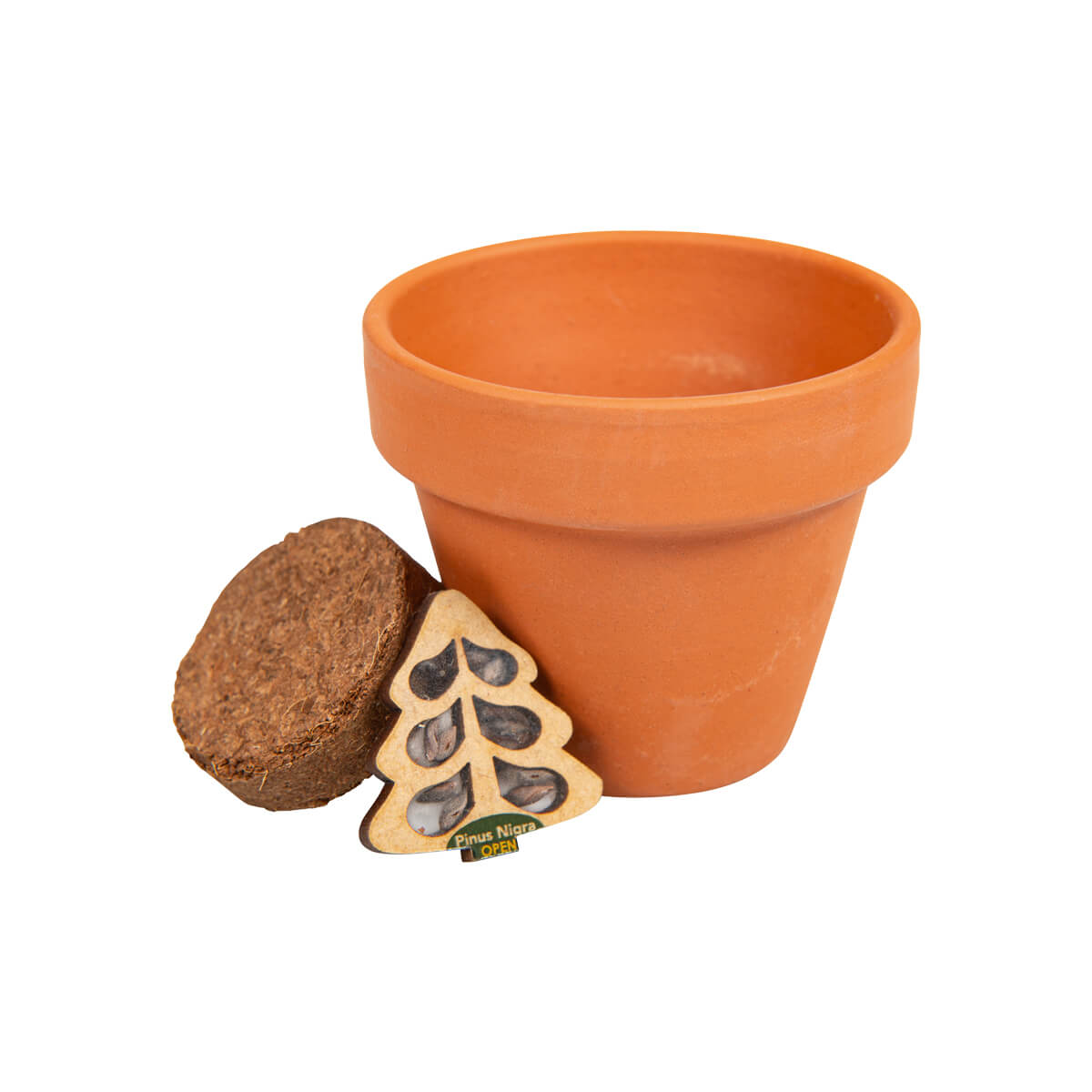 fontis-gesegnetes-weihnachtsfest-anzucht-t-pfchen-fichte-geschenkbox image 2