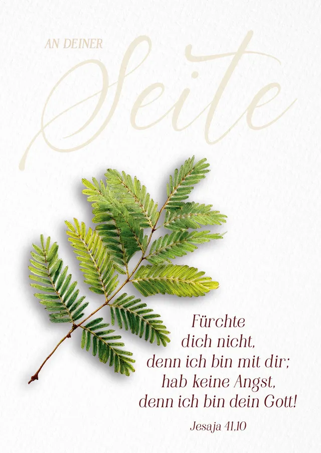 fontis-papeterie-f-rchte-dich-nicht-postkarten-12er-jahreslosung-2 image 1