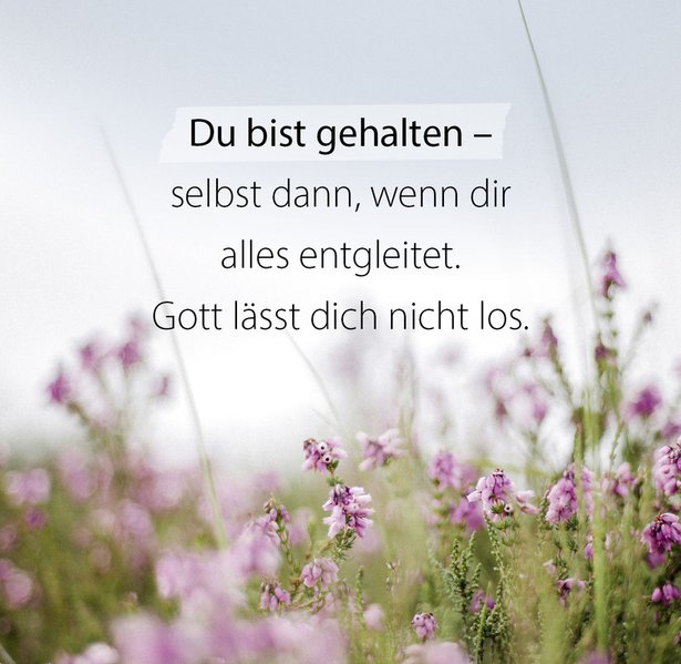 fontis-b-cher-du-bist-wunderbar-und-einzigartig-aufstellbuch-spiralbindung image 3