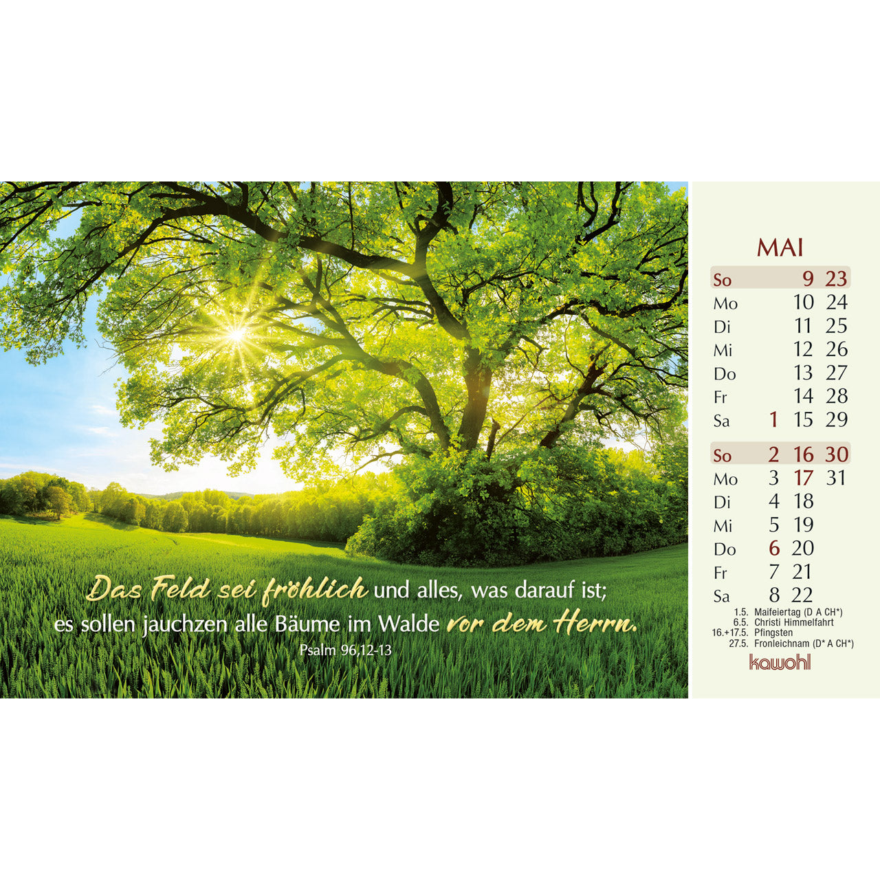 fontis-kalender-heute-und-morgen-geborgen-2027-postkartenkalender image 7