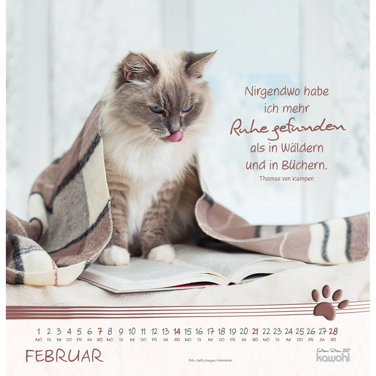 fontis-katzen-tatzen-2027-wandkalender-spiralbindung-katzen image 4