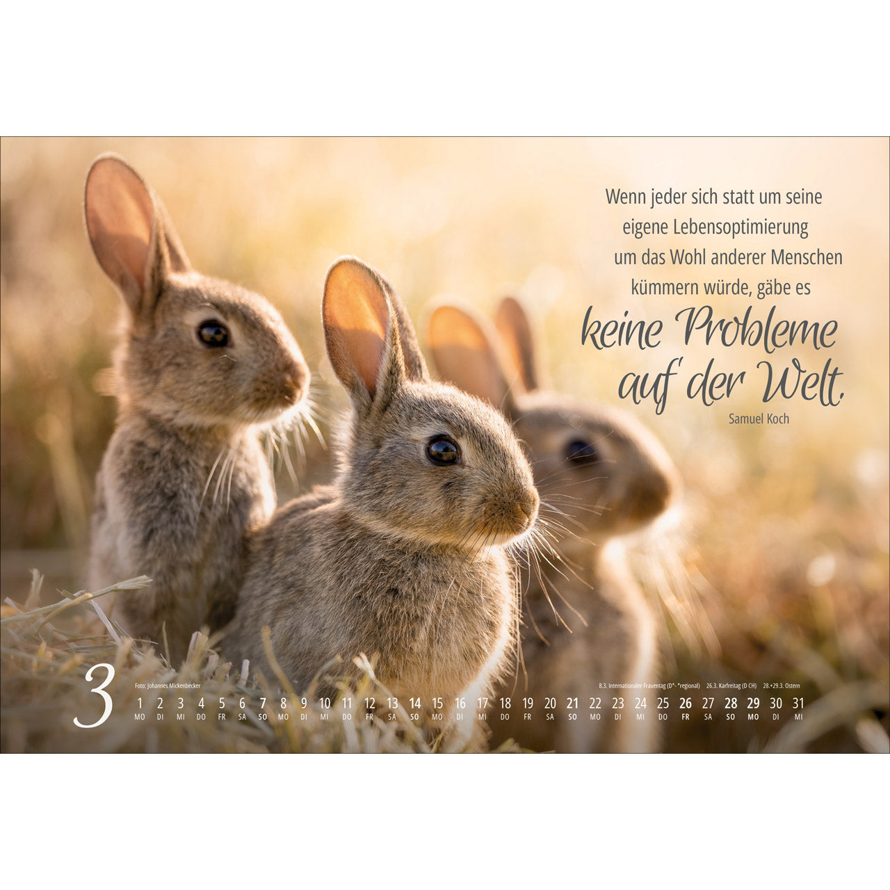 fontis-kalender-real-wildlife-2027-wandkalender image 5