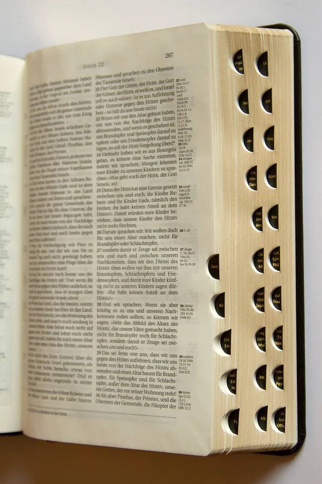 schlachter-bibel-2000-kalbsleder-flexibel-goldschnitt-bibel image 1