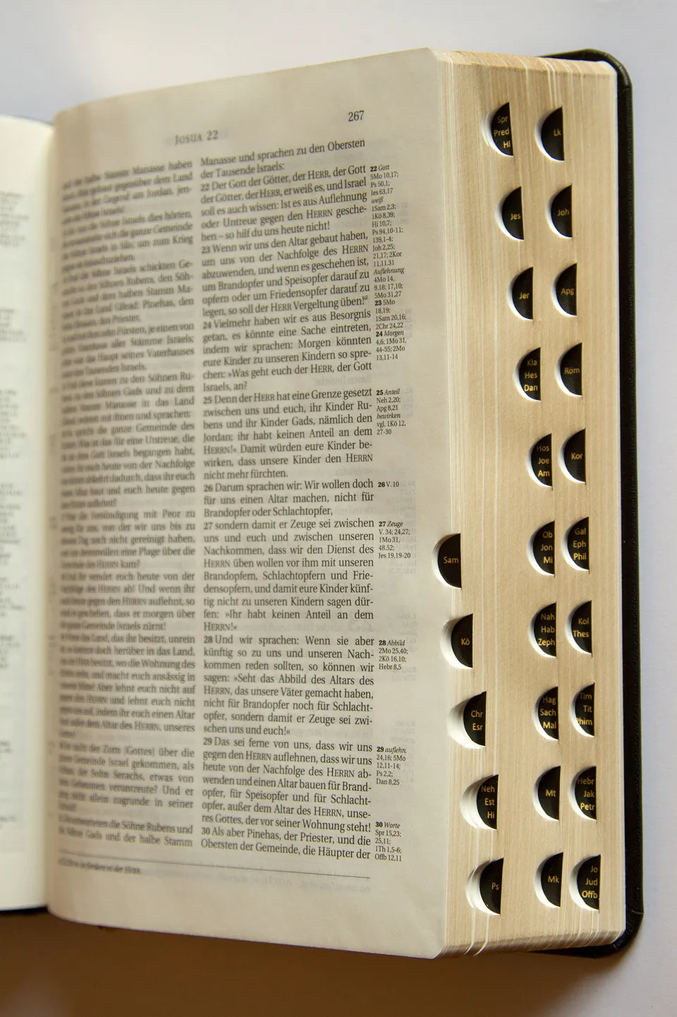 schlachter-bibel-2000-kalbsleder-flexibel-goldschnitt-bibel image 1