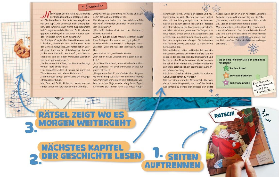 fontis-b-cher-der-mysteri-se-weihnachtsdieb-adventskalender-ab-8 image 6