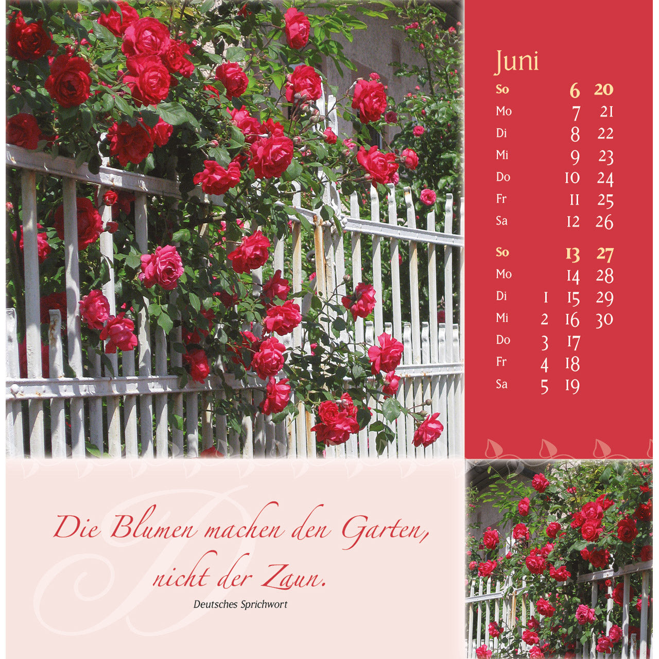 fontis-kalender-rosenduft-mit-lieben-w-nschen-2027-postkarten image 8