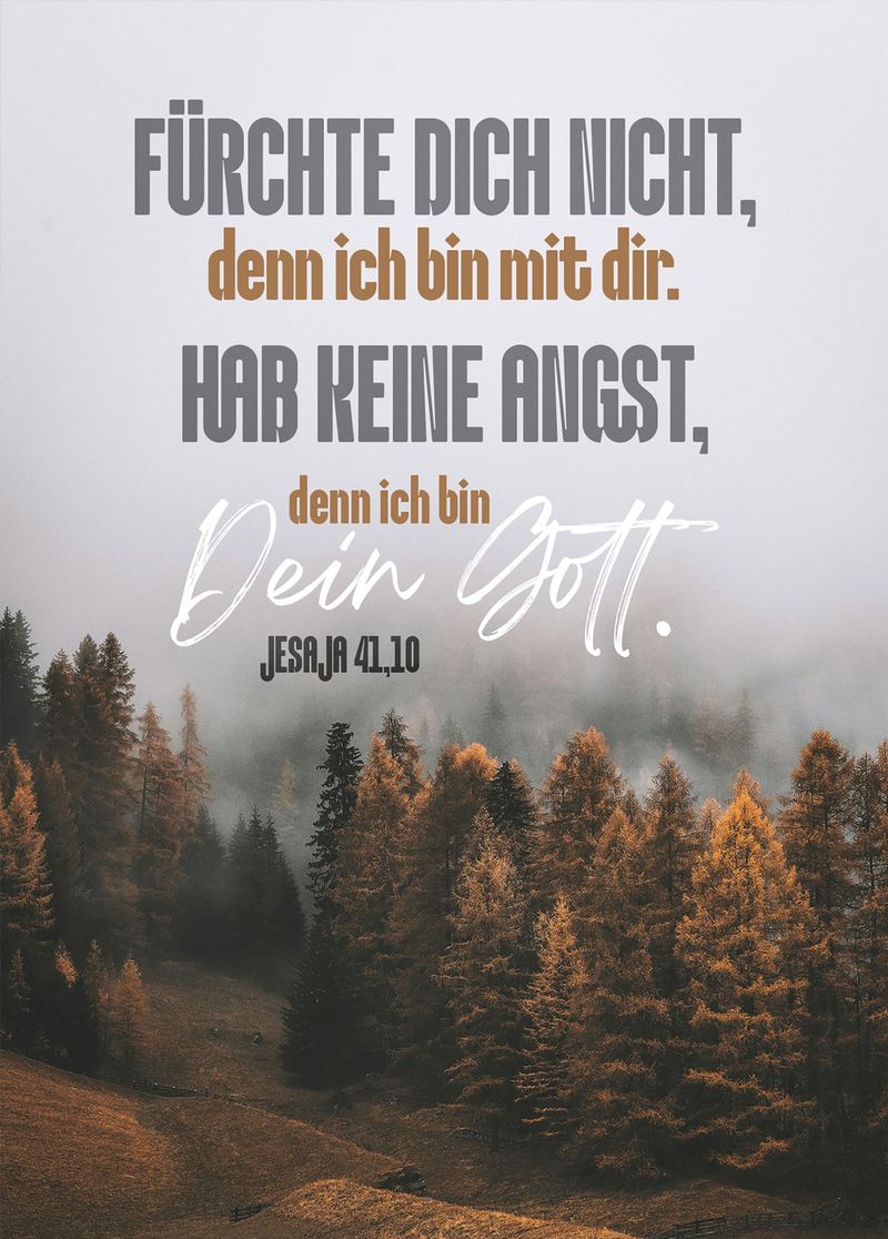 fontis-papeterie-f-rchte-dich-nicht-wald-postkarte-jesaja image 1