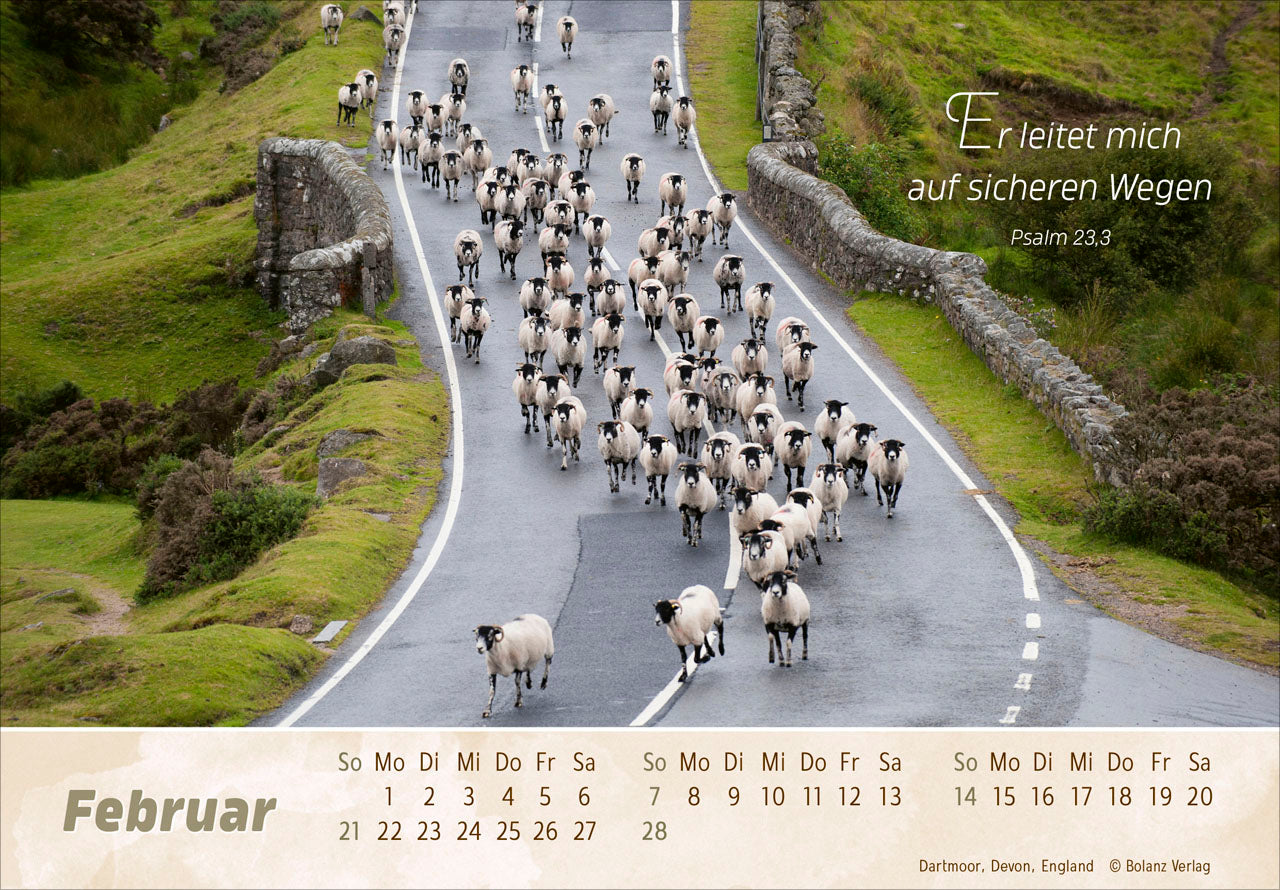 fontis-der-gute-hirte-2027-panorama-aufstellkalender-schafe image 4
