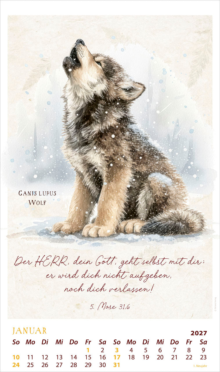 fontis-kalender-schmuckst-cke-des-sch-pfers-2027-posterkalender image 3