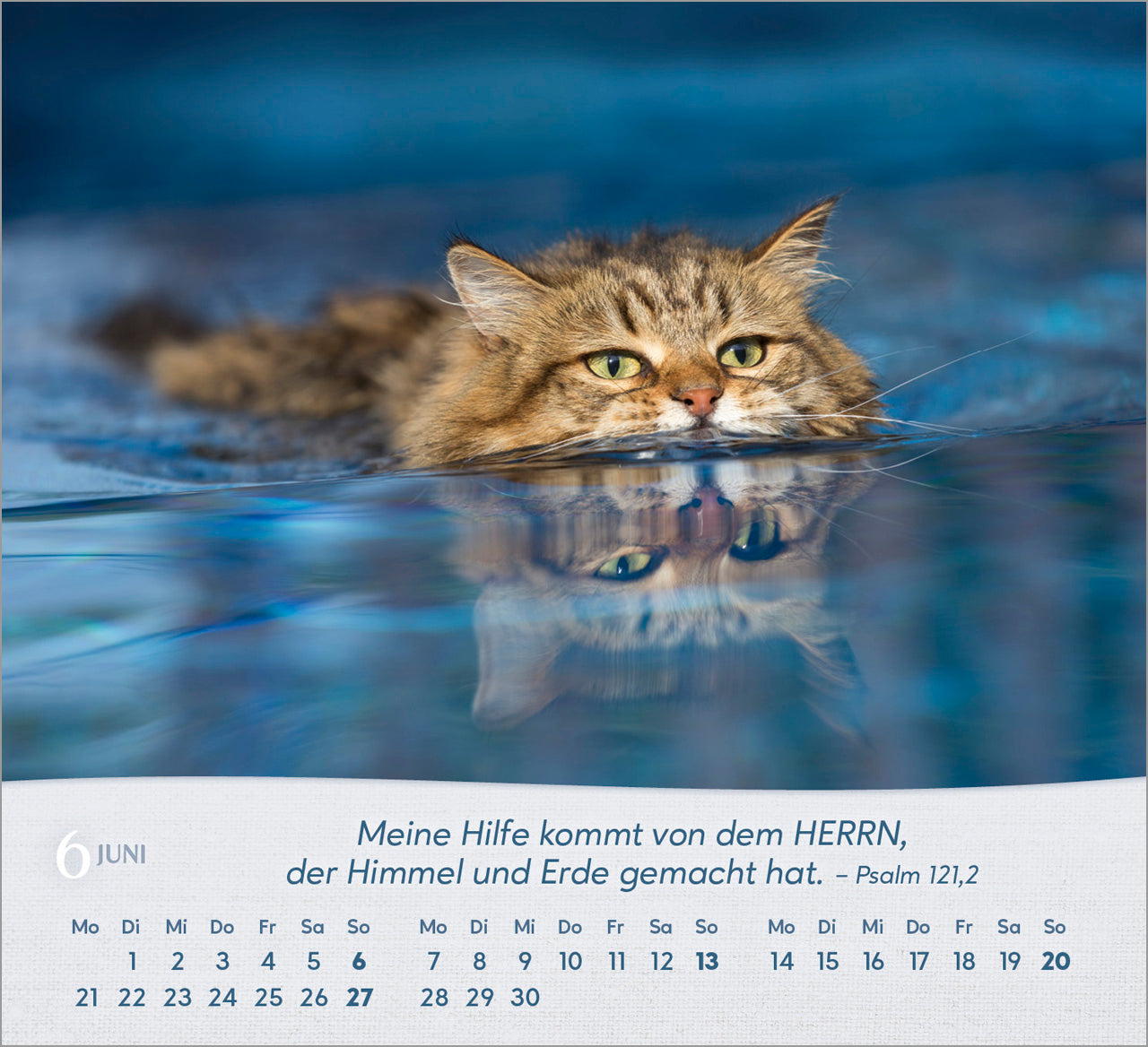 fontis-katzen-2027-aufstellkalender-tischkalender-bibelverse image 8