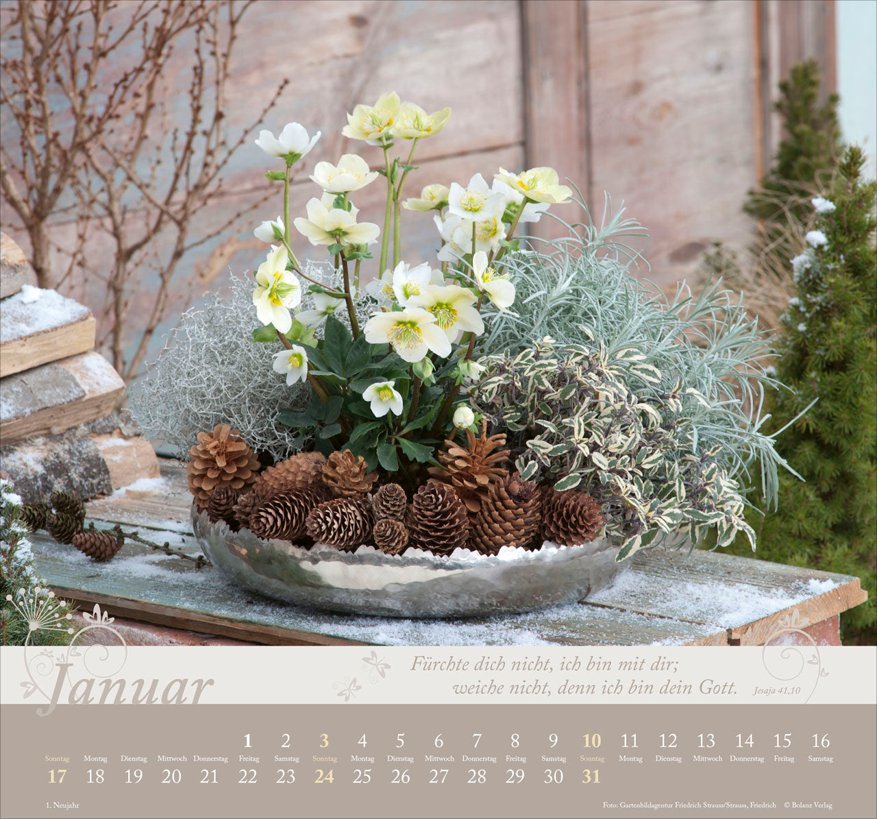 fontis-im-garten-zuhause-2027-wandkalender-mit-bibelversen image 3