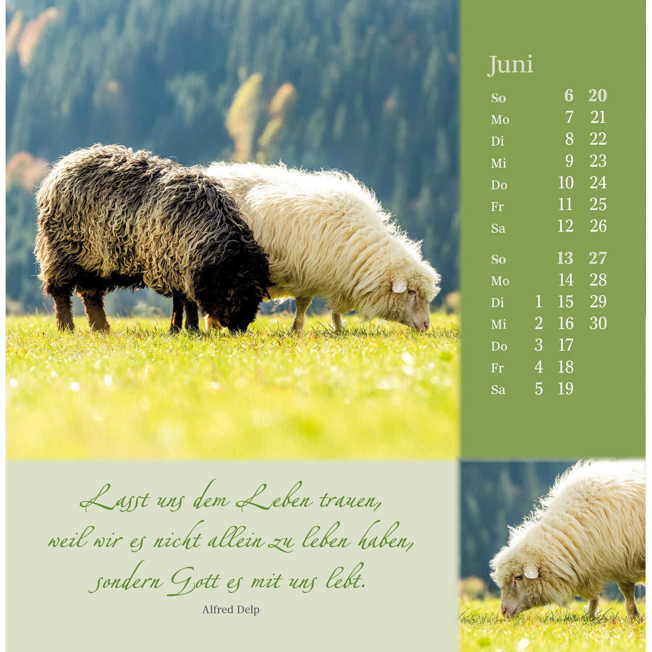 fontis-kalender-sei-beh-tet-und-gesegnet-2027-postkartenkalender image 8