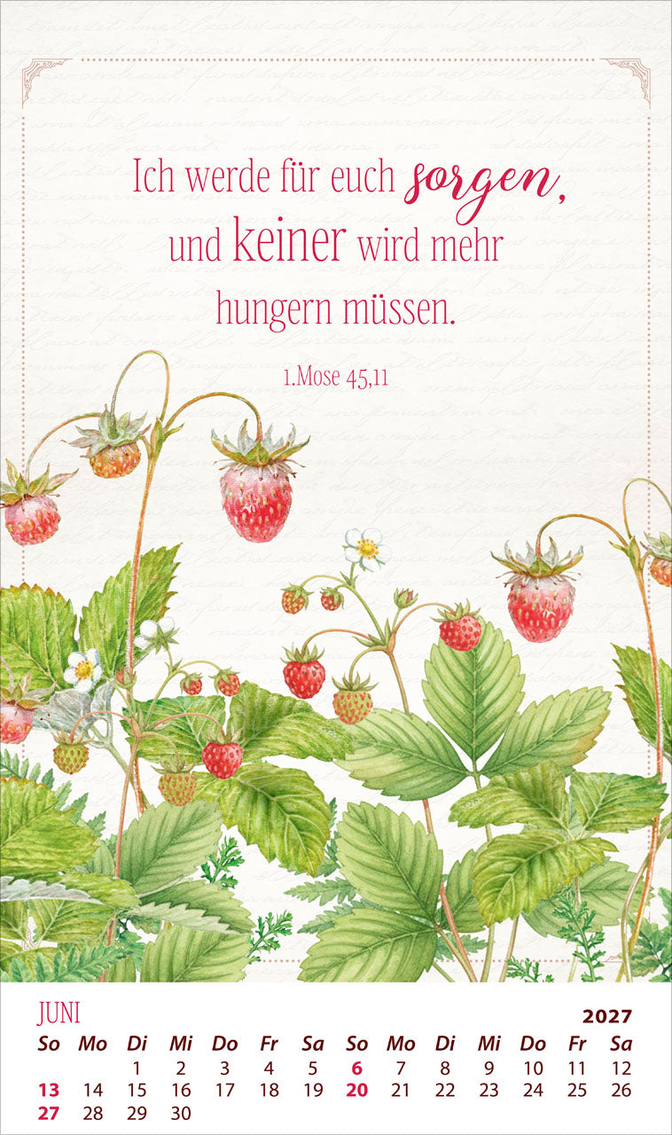 fontis-kalender-die-kraft-der-worte-2027-posterkalender-bibelverse image 8
