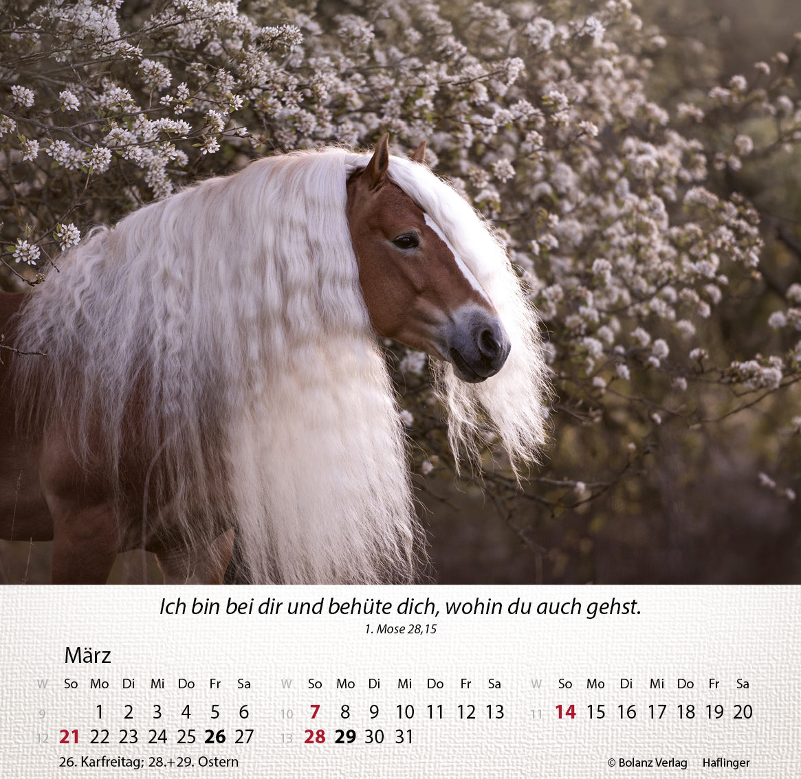 fontis-kalender-pferde-2027-tischkalender-mit-bibelversen image 4