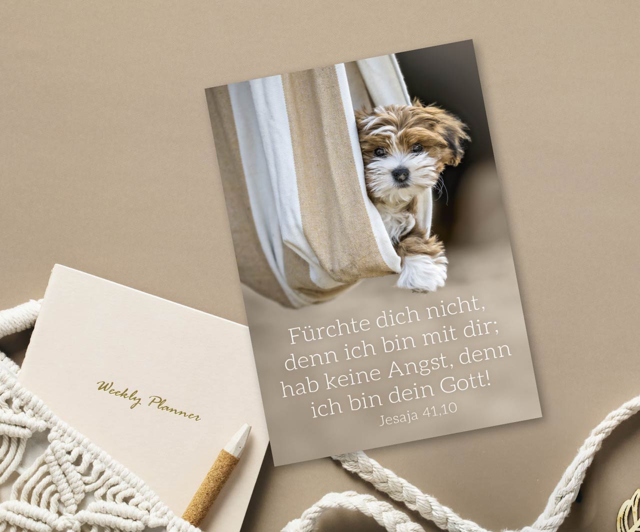 fontis-papeterie-f-rchte-dich-nicht-postkarten-hund-12er image 2