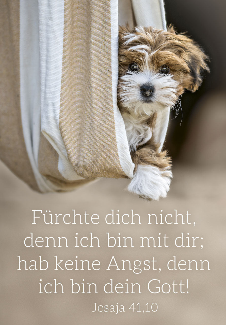 fontis-papeterie-f-rchte-dich-nicht-poster-a3-hund-2027 image 1
