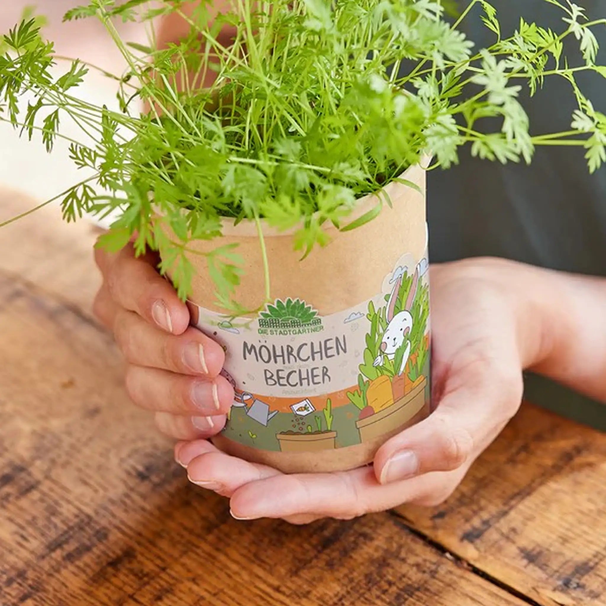 bonifatiuswerk-m-hrchen-aus-dem-becher-anzuchtset-kinder image 2