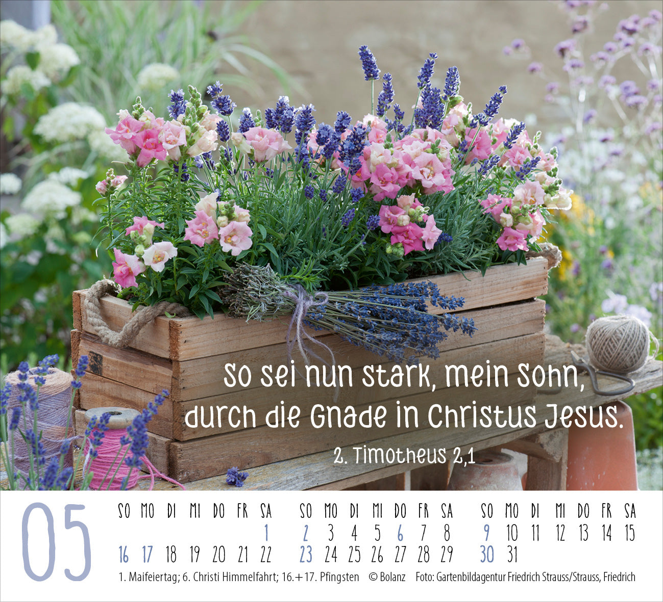 fontis-kalender-harmonien-f-r-die-seele-2027-minikalender image 7