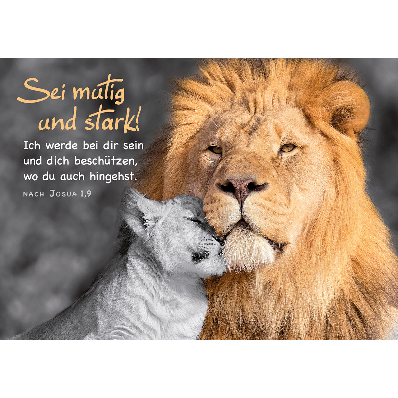 fontis-papeterie-sei-mutig-und-stark-postkarten-4er-set-josua-1-9 image 1