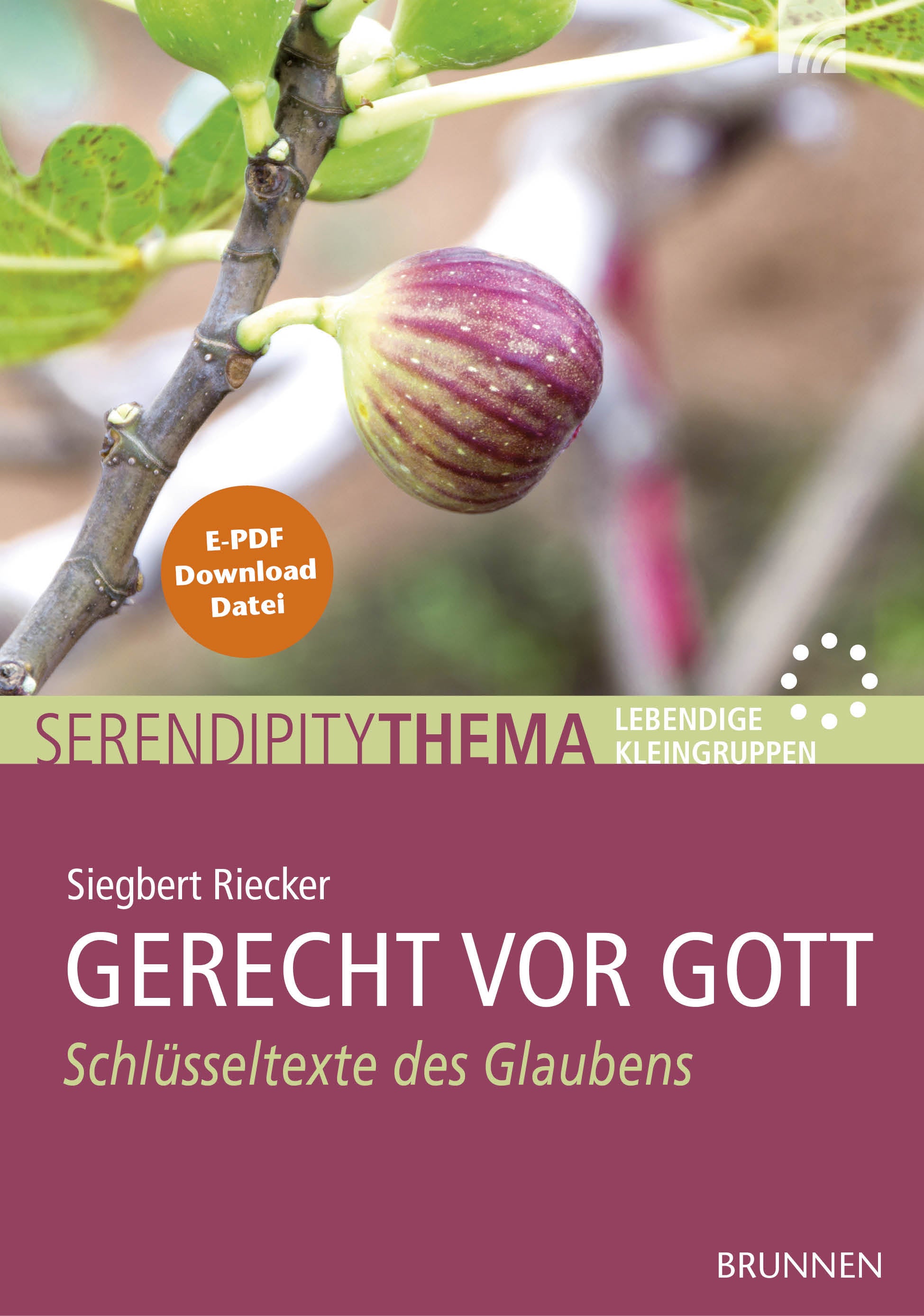 fontis-gerecht-vor-gott-serendipity-e-book-hauskreis-bibel image 1