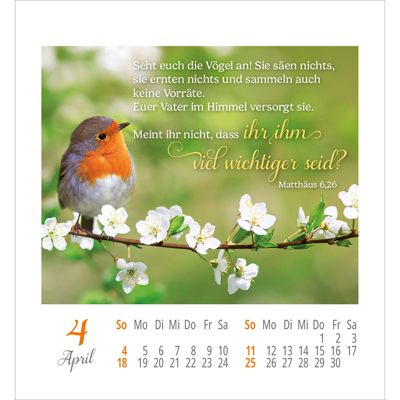 fontis-lieblingsworte-aufkleberkalender-2027-spiralbindung-bibelworte image 6