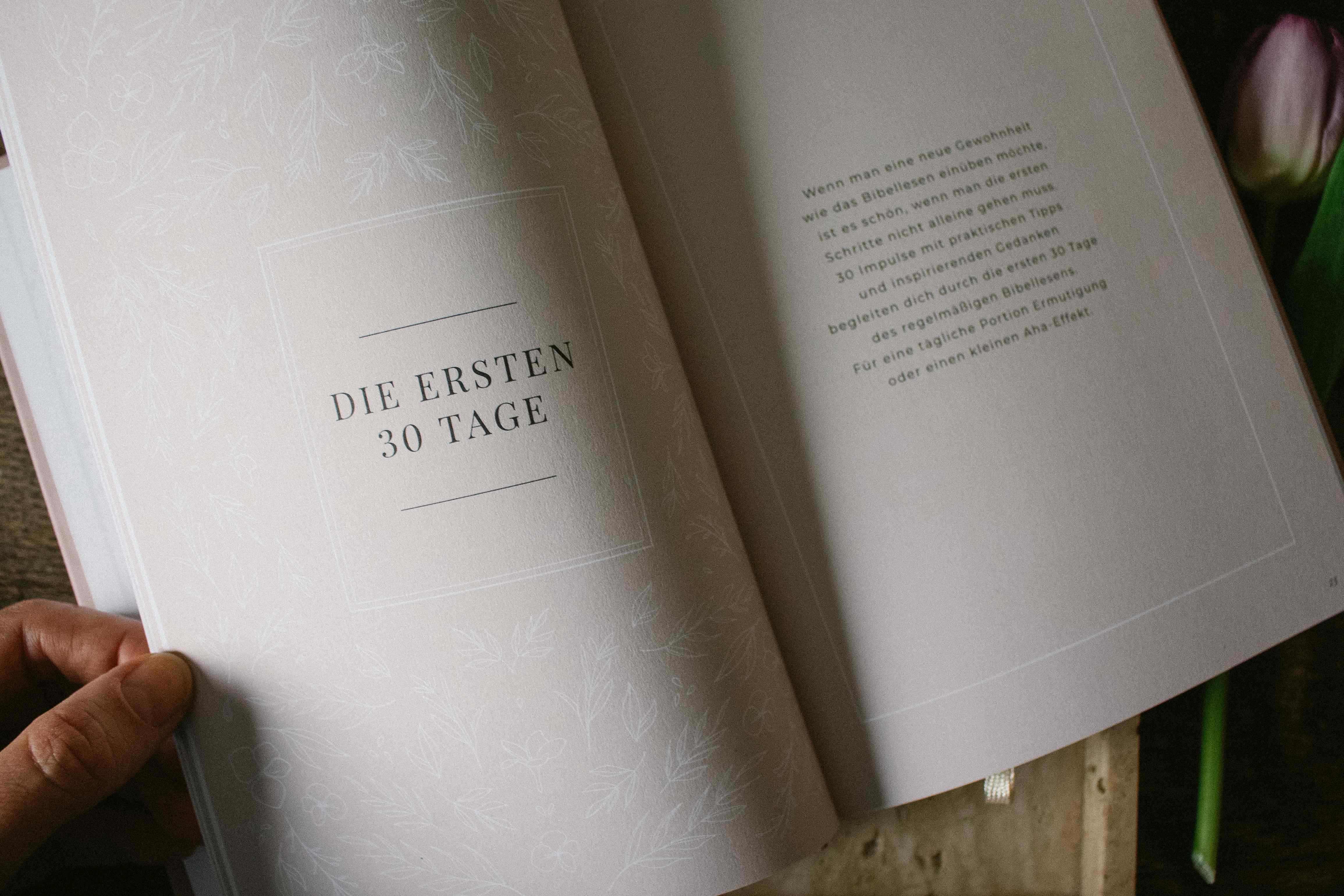 fontis-bl-hende-worte-bibellese-journal-gebunden-challenge image 5