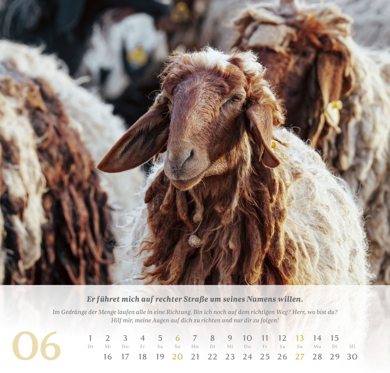 fontis-kalender-psalm-23-wandkalender-2027-der-herr-ist-mein-hirte image 7