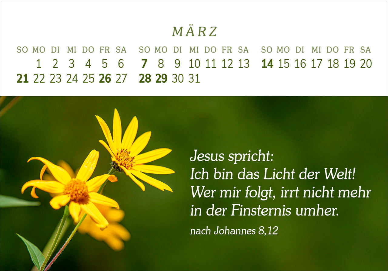 fontis-das-geschenk-der-freude-2027-aufstellkalender-gro-druck image 5