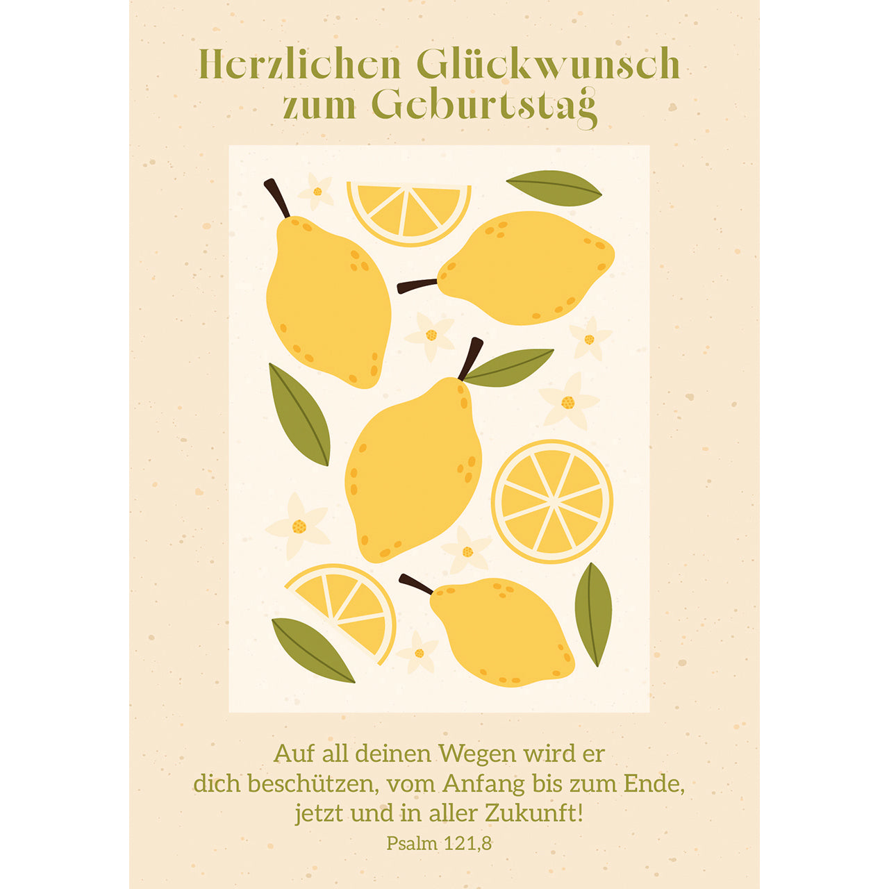 fontis-papeterie-herzlichen-gl-ckwunsch-postkarten-4er-set-geburtstag image 1