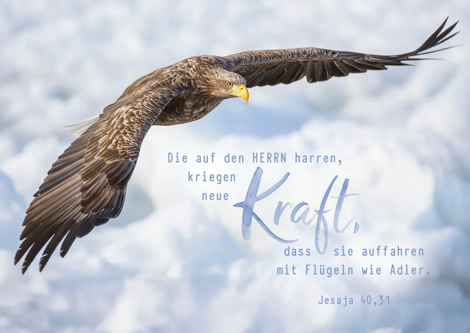 neue-kraft-12-postkarten-jesaja-40-31-adler-set image 1