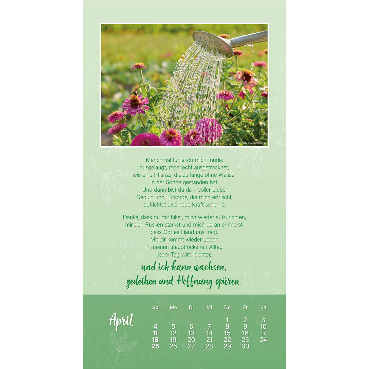 doro-zachmann-sch-n-dass-es-dich-gibt-2027-wandkalender image 6