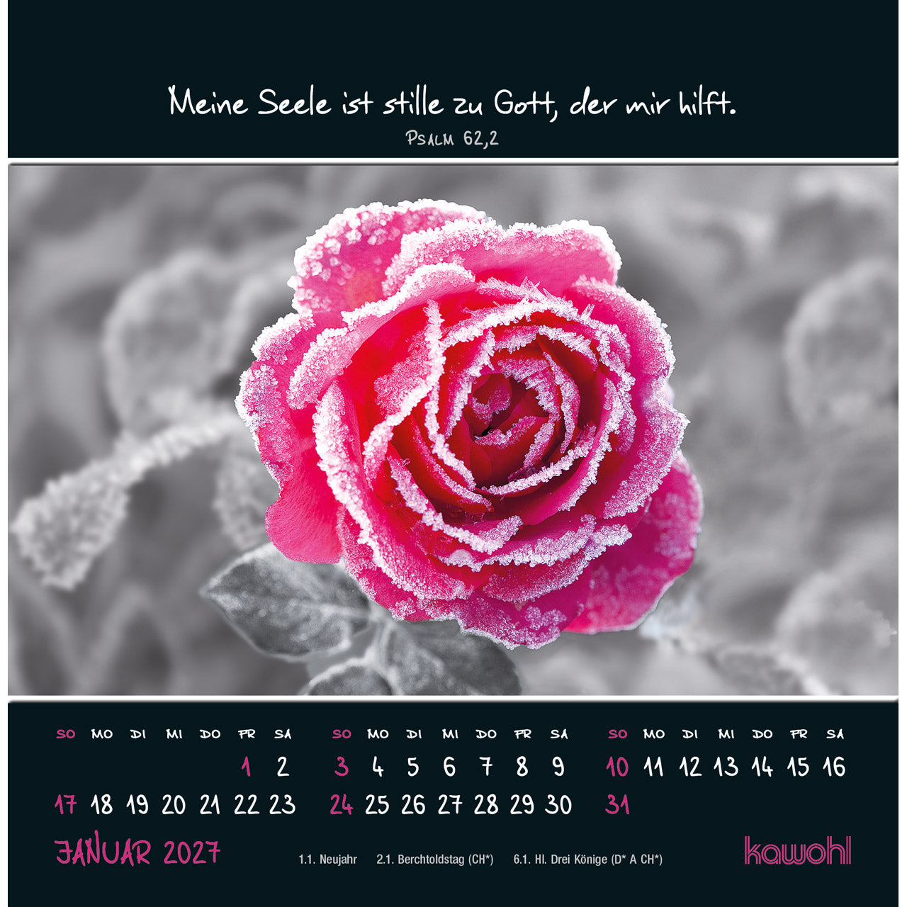 kleine-wunder-sehen-2027-postkartenkalender-16x16 image 3