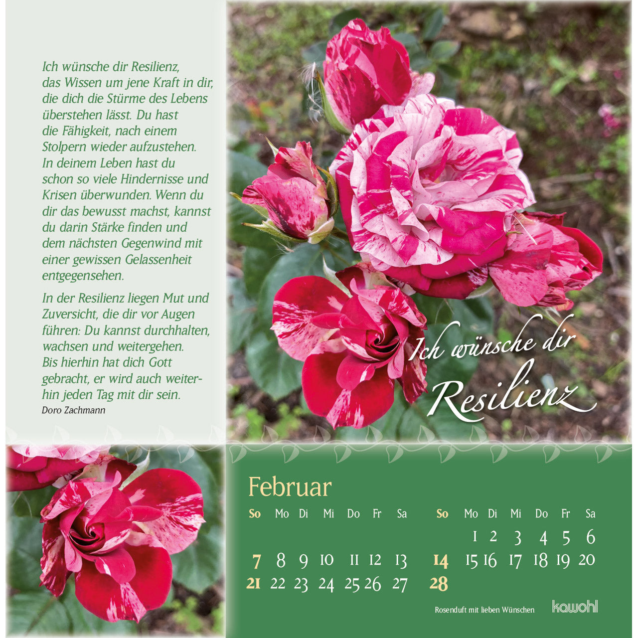 fontis-kalender-rosenduft-mit-lieben-w-nschen-2027-postkarten image 4