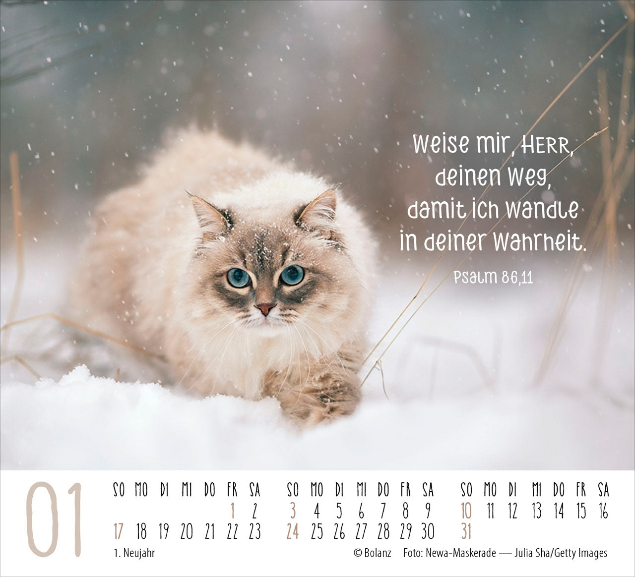 fontis-katzen-2027-minikalender-auf-leisen-pfoten-bibelverse image 3