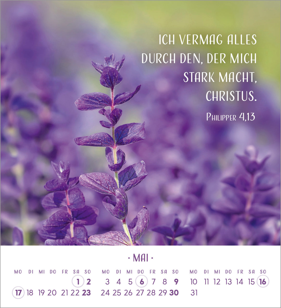 fontis-zarte-blumengr-e-2027-aufstellkalender image 7