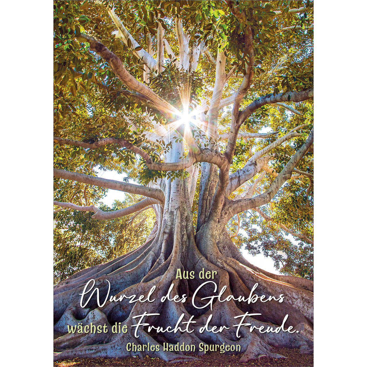 fontis-papeterie-aus-der-wurzel-postkarten-12er-set-spurgeon image 1