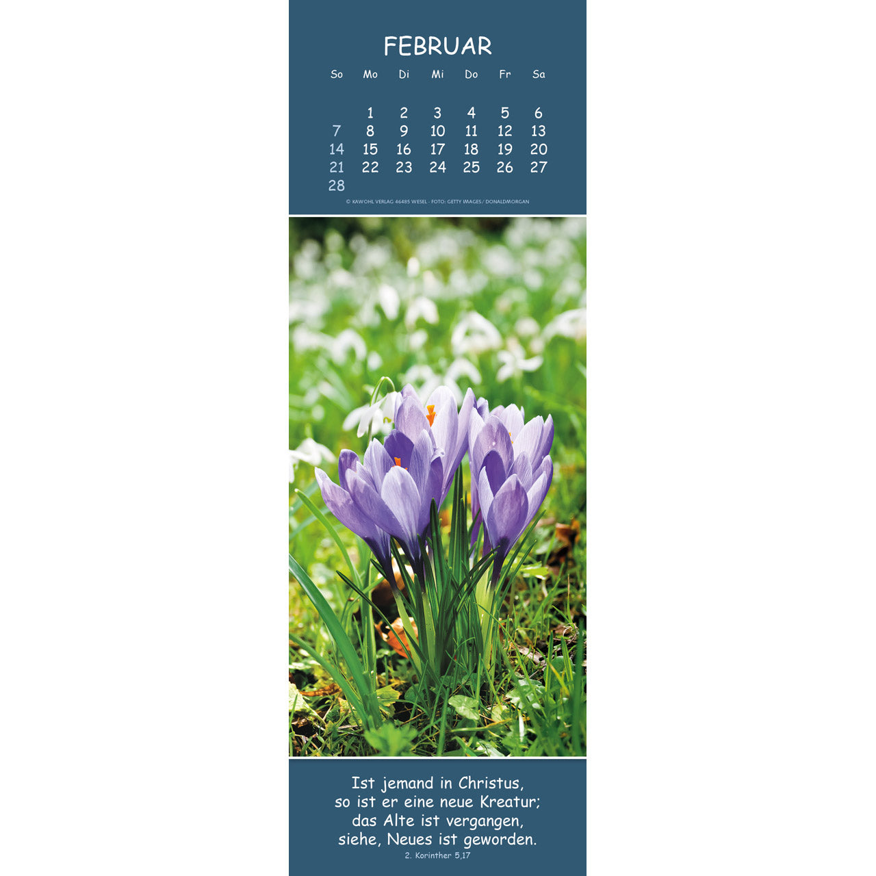 fontis-gedanken-des-friedens-2027-wandkalender-bibelverse image 4