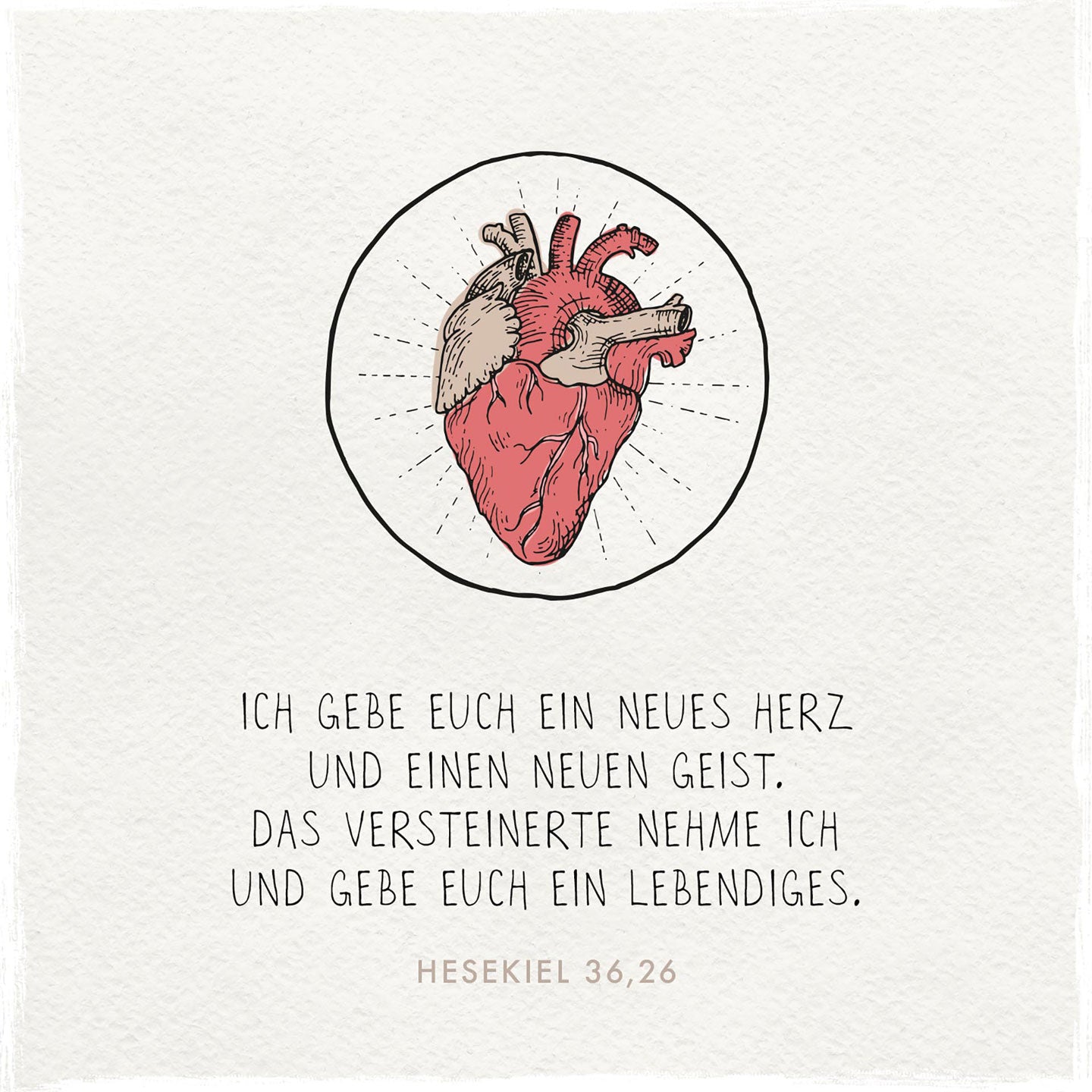 fontis-ein-neues-herz-holzschild-13x13-cm-hesekiel-36-26 image 1